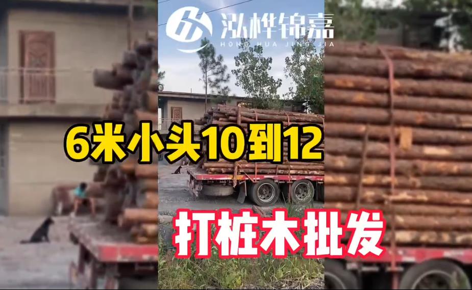 6米小頭10-12cm<a href=http://www.slayinrecords.com/ target=_blank class=infotextkey>打樁木</a>批發(fā)