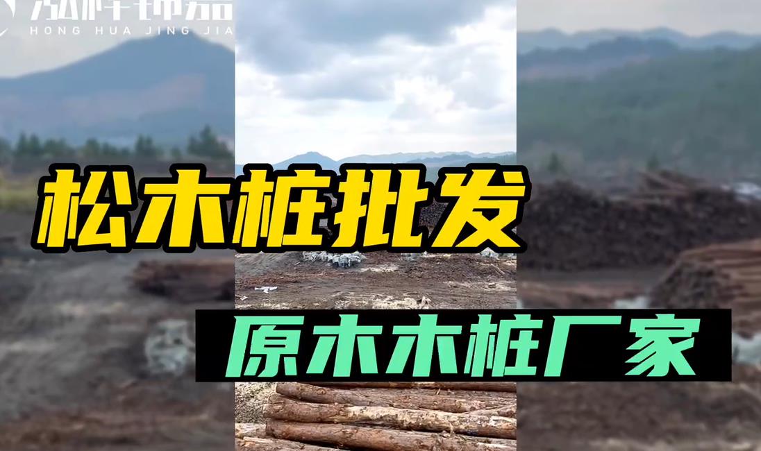 原木木樁廠(chǎng)家批發(fā)<a href=http://www.slayinrecords.com/ target=_blank class=infotextkey>松木樁</a>