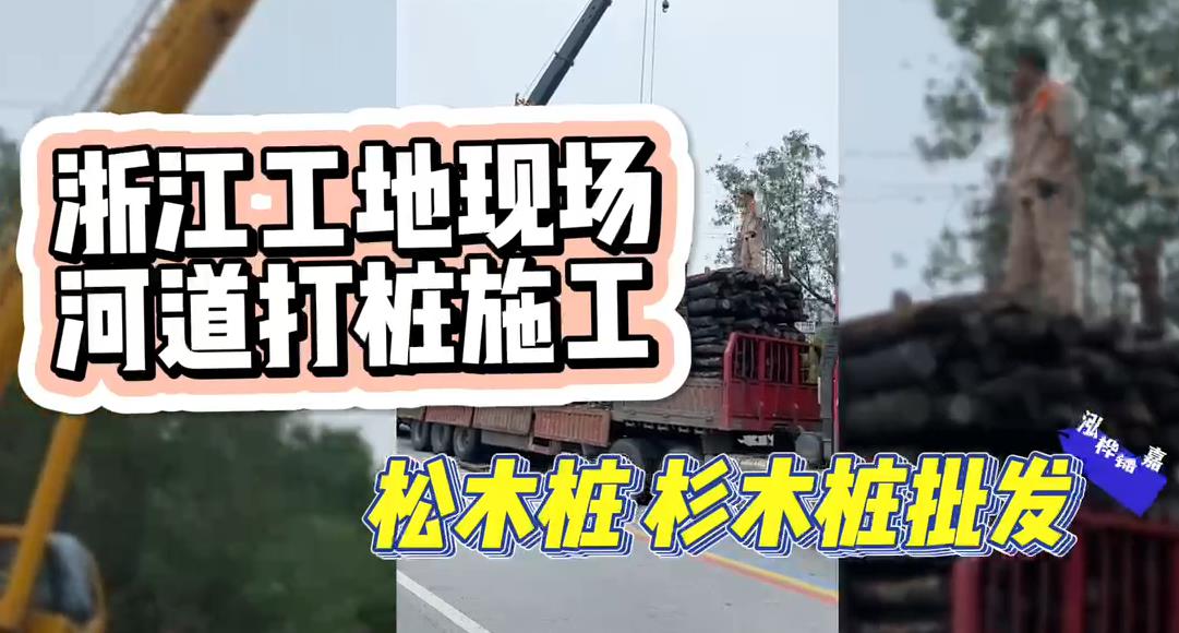木樁廠(chǎng)家承接<a href=http://www.slayinrecords.com/ target=_blank class=infotextkey>松木樁</a>、杉木樁工地施工與批發(fā)視頻